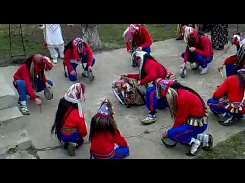 cerbul din crivesti 2009-2010