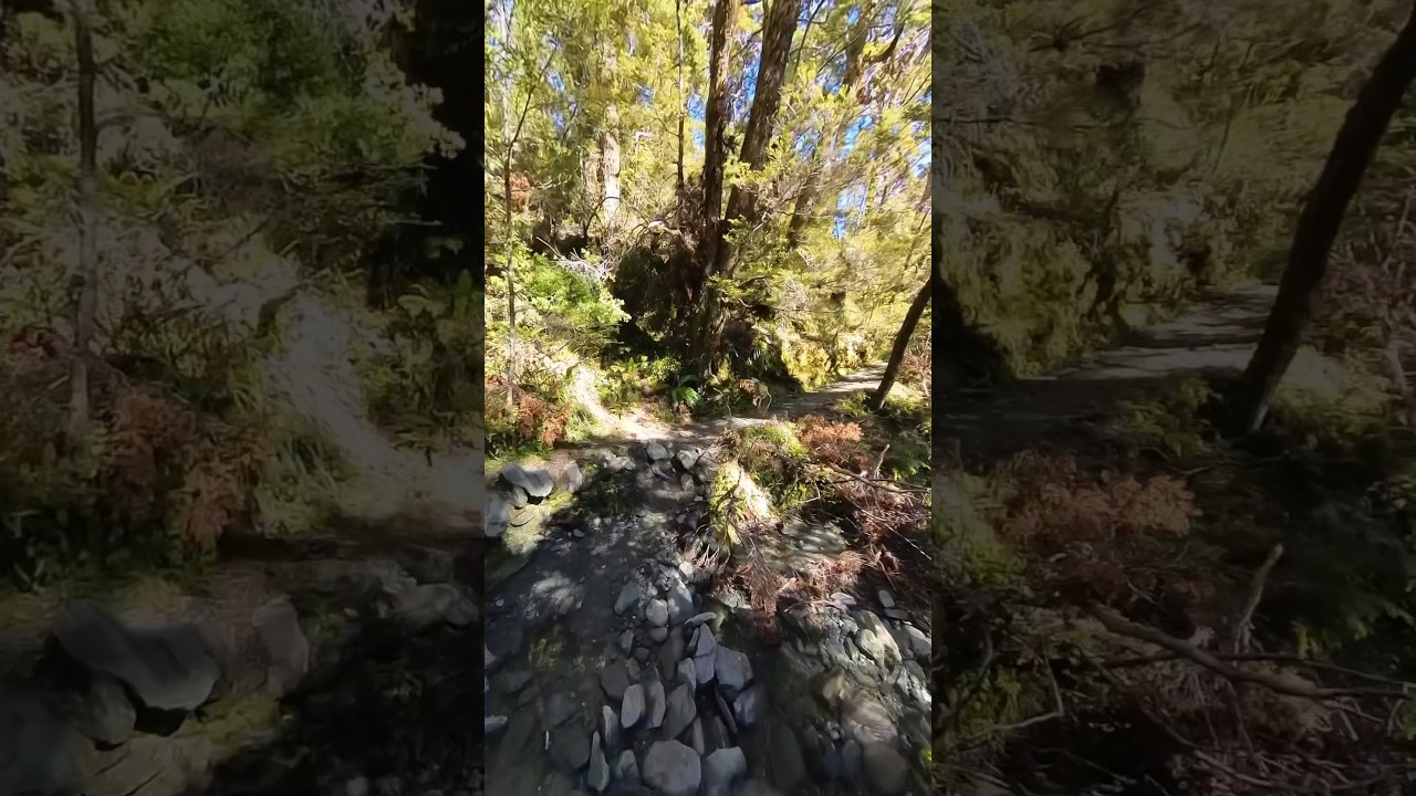 YouTube Short thumbnail