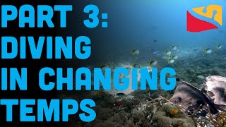 How To Scuba Dive In The Ocean Part 3: Temperature Presented By Dive Rite