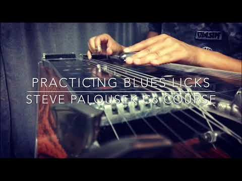 Practicing Blues Licks - Steve Palousek C6 Course