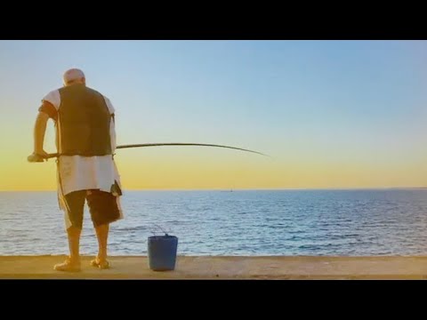 Garcia Bello | Fall Winter 2021/2022 | Digital