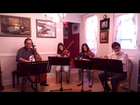 Henry Purcell: Rondeau from Abdelazer. Performed by Chernyak Family Quartet