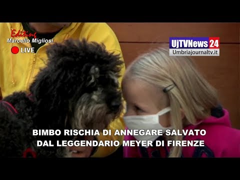 Bimbo rischia di annegare salvato dal leggendario Meyer di Firenze