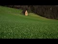 Adult Swim Bump Fanmade: Bibio - Mirroring All