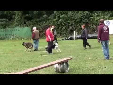 Prepreke i poslušnost za RH - F,T  A,B,