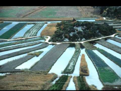 Lipo moje neretvansko ušće