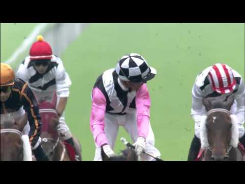 [Champions Mile & Chairman's Sprint Prize 2016] Tony Cruz interview