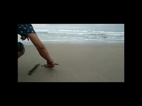 Rindu kamu (BCL feat . Joe taslim