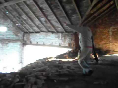 Chemici - CHEMICI - Monstrum