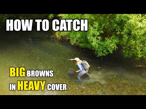 How to Catch BIG BROWN TROUT in Heavy Cover - Cycling & Searching Brown Trout Fly Fishing