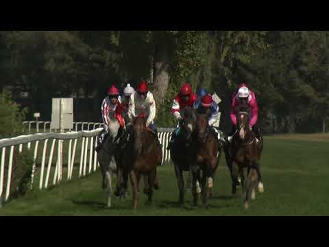 3. dostih - 33. Cena Jockey Clubu ČR - dostihy Karlovy Vary 20. 9. 2020