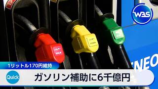 ガソリン補助に6千億円 1リットル170円維持【WBS】