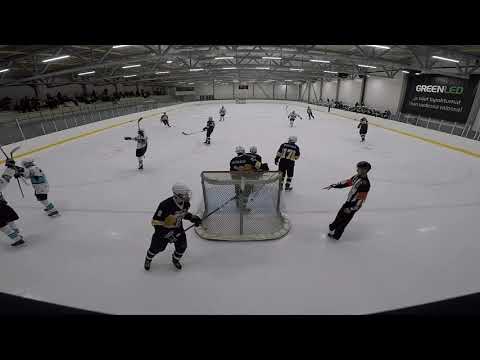 Blues B - Pelicans (0-3) 1.3.2018