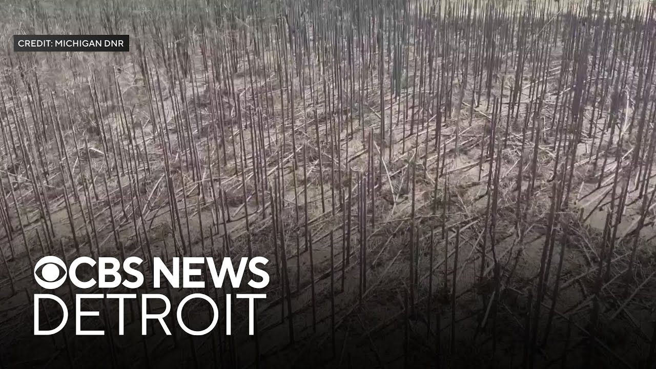 Drone video reveals extensive damage from Northern Michigan ice storm
