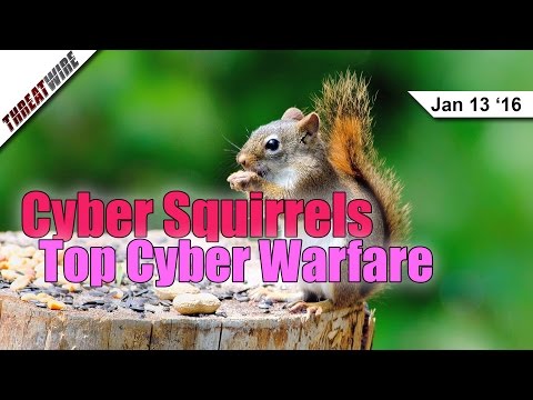 Squirrels Top Cyber Warfare, Shadow IT, Turn On 2FA Now. Please. - Threat Wire