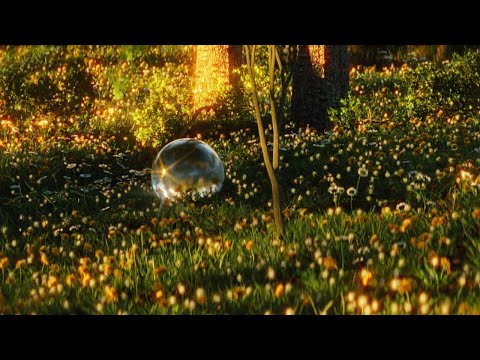 Long Limbs - The Brook & The Bluff