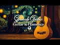 TOP 100 SPANISH GUITAR FLAMENCO MUSIC Best Of Flamenco Spanish Guitar Music Playlist