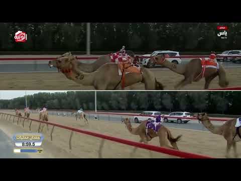 ش 13 (معزز) لـ حمد علي بالرشيد الكتبي 12:25:01 ، ختامي المرموم 2026/03/30 ثنايا