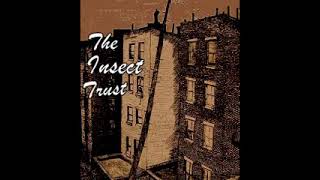 The Insect Trust = Hoboken Saturday Night - 1977 - (Full Album)