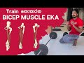 4 exercies targeting the commonly neglected bicep femoris( hamstring )