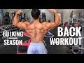 BACK WORKOUT FOR MASS