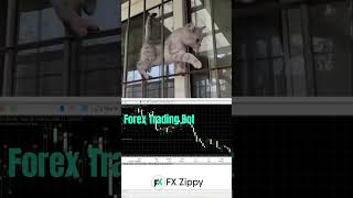 Download lagu 😍✨🚀 Market Cat Walk With Fx Zippy Bot 😱🔥 #shorts #forex #bot #fxzippybot mp3
