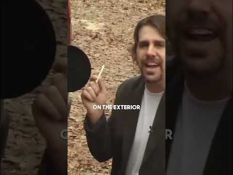 How to beat a drug dog