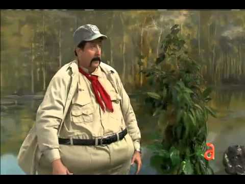 Las acosadoras - América TeVé