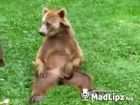 Ma mananca palma stanga😜