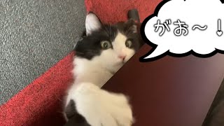 ベット下に蠢く白い何か…