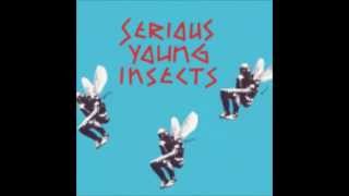 Serious Young Insects - 