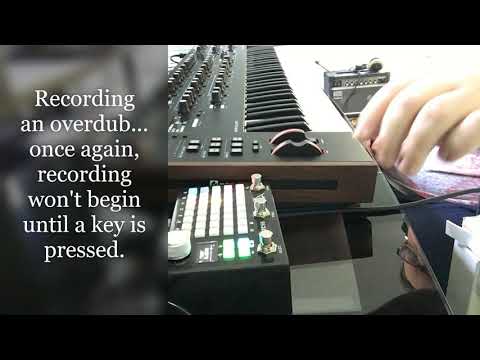 Empress ZOIA patch walkthrough:  "Keyed poly 4 -- polyphonic synth and looper"