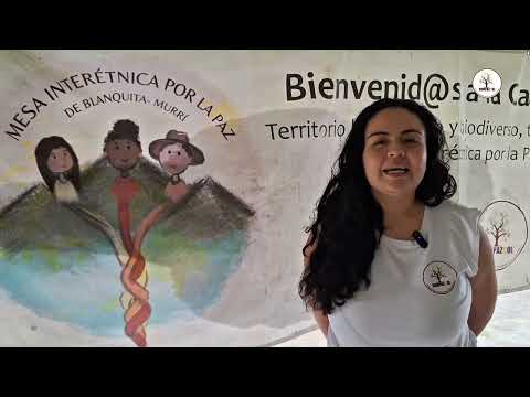Phanor Seed: Youth Environmental and Peacebuilding