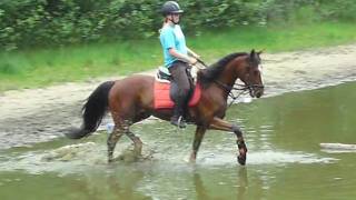 You&#39;re my everithing!