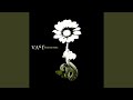 What Else Do I Need