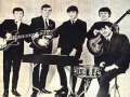 The Fortunes - Storm In A Teacup 