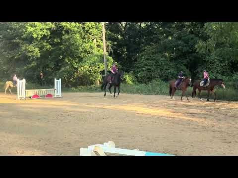 Furst Ferro video 2