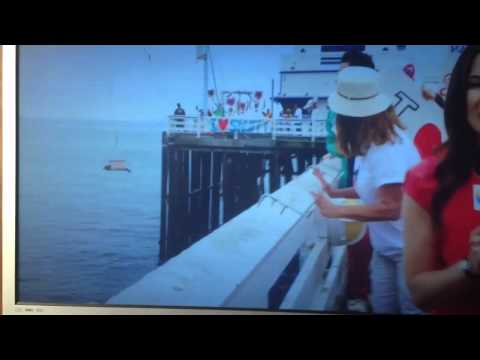 Snuffy the seals triumphant return - Shark Week