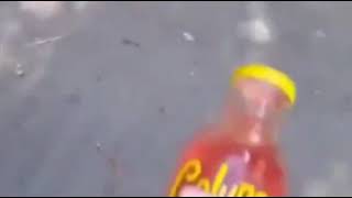 Cover art for I'VE JIST FOUND THIS CALYPSO IT IS FOOKIN MINGING