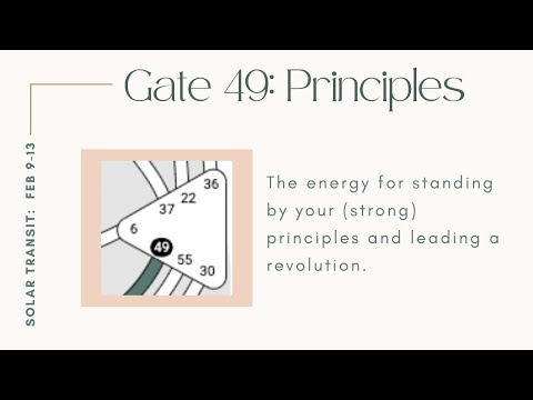 Human Design Solar Transit - Gate 49: Principles