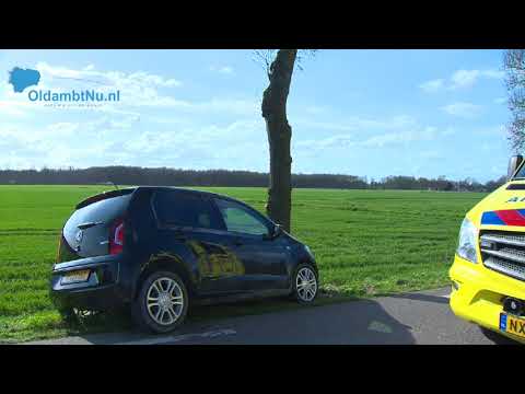 Auto botst tegen boom in Finsterwolde