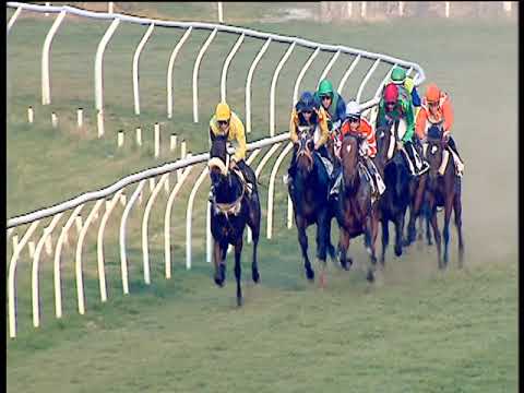 Galoppo 22/02/2019 - 3ª corsa