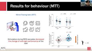 Talk: Auditory stimulation during REM sleep modulates cognitive performance.