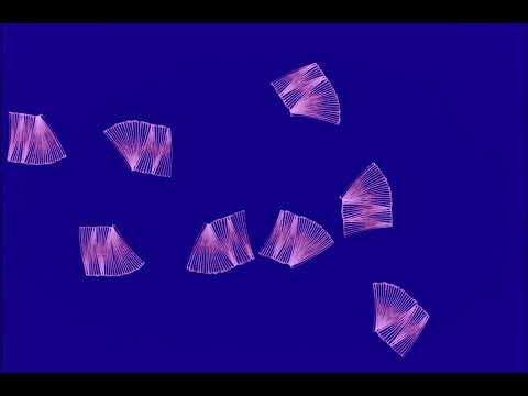 Video thumbnail for Echo Tricks Me