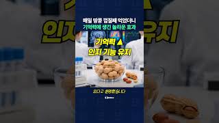 매일 땅콩 껍질째 먹었더니 기억력에 생기는 놀라운 효과