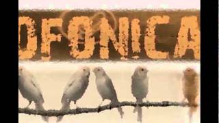 Imagenes Paganas - JAM