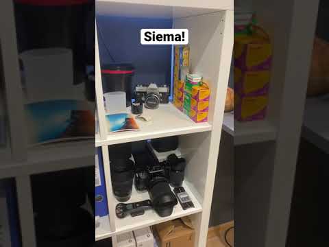 Fotografia Analogowa - To jest VIBE!