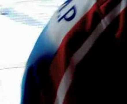 Adler Mannheim-Frankfurt Lions