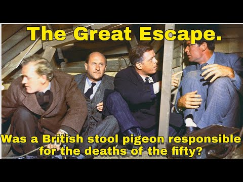 The Great Escape : the allegation that a British stool pigeon caused the deaths of the fifty.