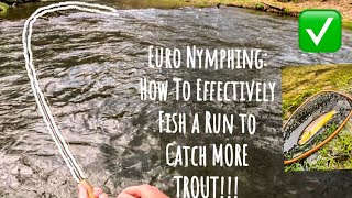 Euro Nymphing: How to Effectively Fish a Run and Catch MORE TROUT!